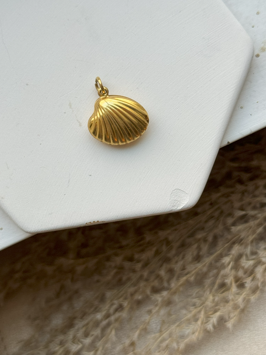 Seashell Charm